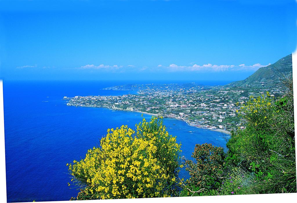 Villa Angela Hotel & Spa Forio di Ischia Exterior foto